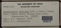 Image Associated With the Occurence